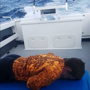 Meet your Posher, Archy